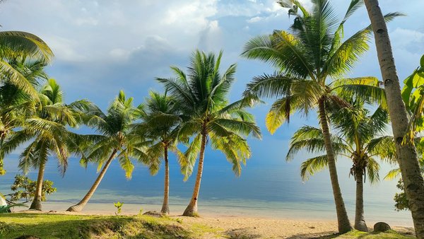 Secure your tickets for riley green's 2025 uk tour dates!