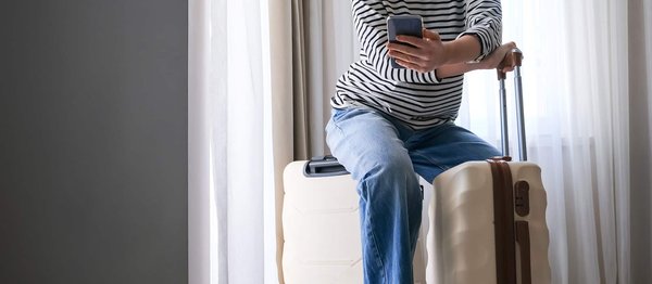 How to find a holiday rental in the New Forest that offers pony trekking?